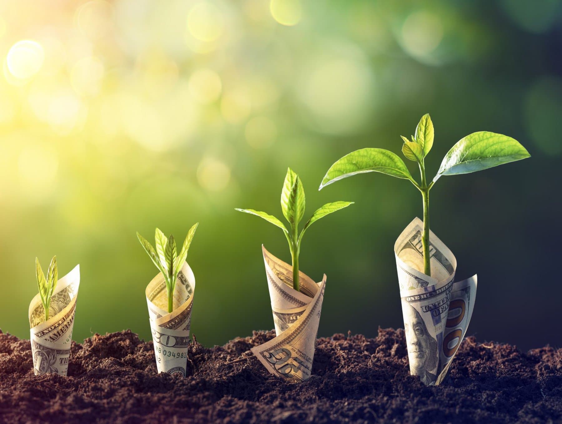 Energy System Transformation - Navigating Decarbonisation and Transition Policy